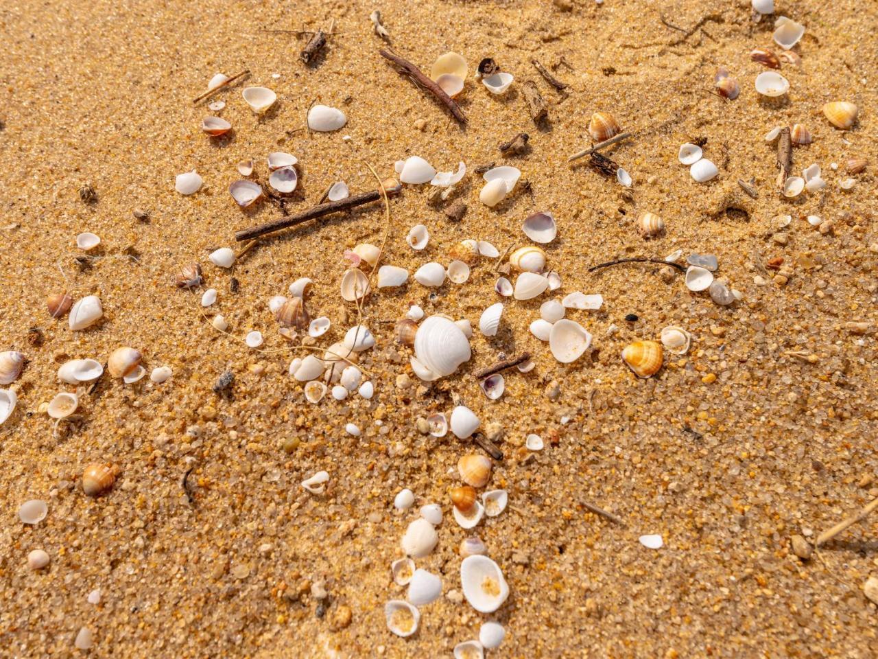 Pousada Pe Na Areia Caraguatatuba Kültér fotó